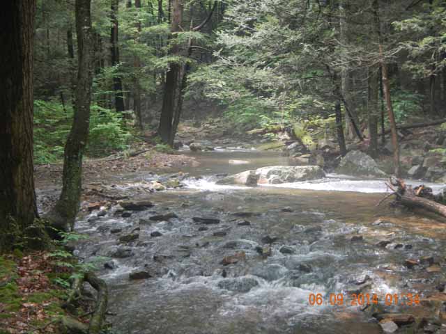 fowlers hollow.Laural run 06-09-14 069.jpg -                                